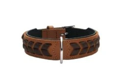 Hunter Hondenhalsband El Paso Cognac -Hunter Winkel image 613
