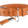 Hunter Hondenhalsband Cannes Oranje -Hunter Winkel image 619
