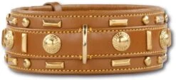 Doxtasy Hondenhalsband Glorious Tan 60mm
