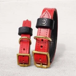 Houndworthy Hondenhalsband Bridle Leather Oxblood Red -Hunter Winkel image 710