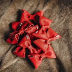 Hunter Honden Vlinderdas Paris 13 Hunter Honden Vlinderdas Paris -Hunter Winkel image 720