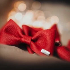 Hunter Honden Vlinderdas Paris 14 Hunter Honden Vlinderdas Paris -Hunter Winkel image 721