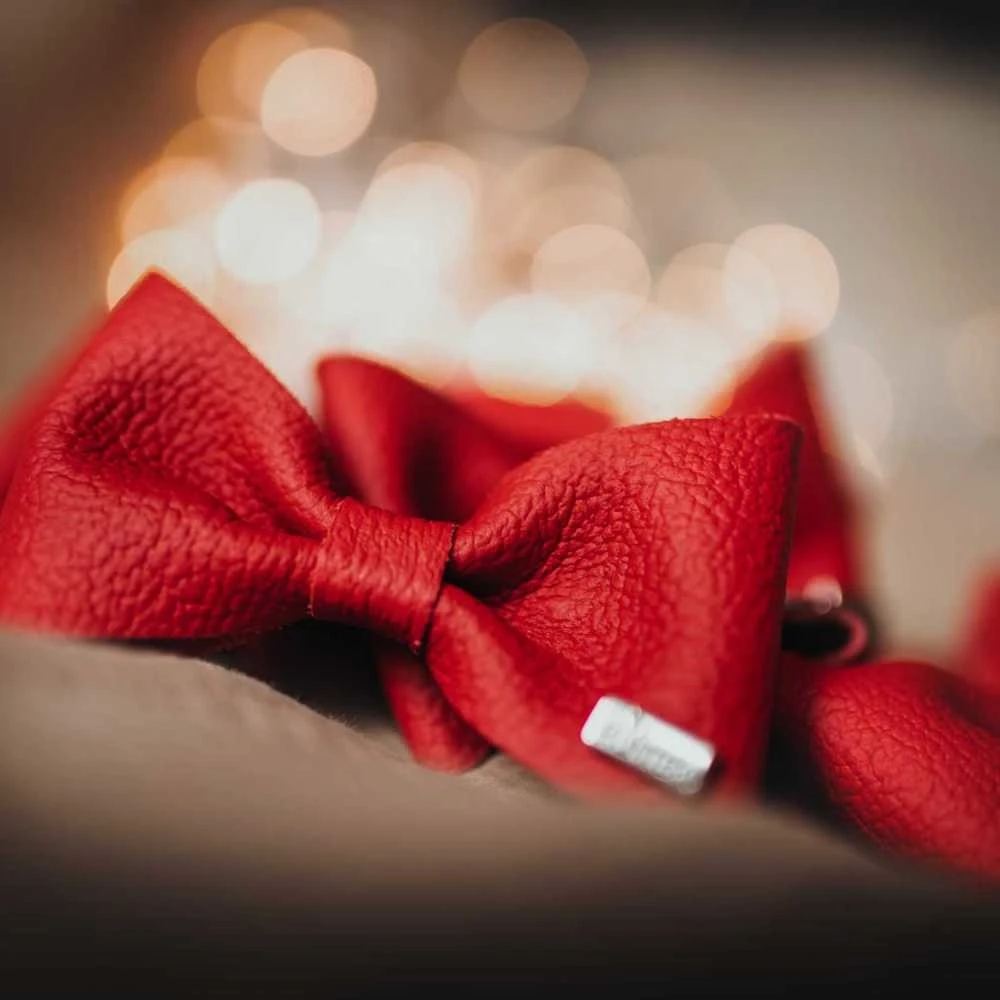 Hunter Honden Vlinderdas Paris 8 Hunter Honden Vlinderdas Paris - Afbeelding 6