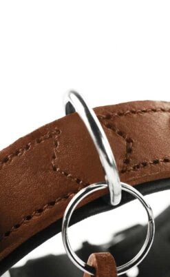 Hunter Hondenhalsband Larvik Cognac -Hunter Winkel image 727