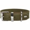 Hunter Hondenhalsband Aalborg Special Groen 2 Hunter Hondenhalsband Aalborg Special Groen -Hunter Winkel image 731