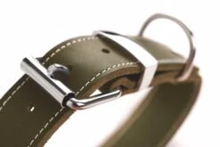 Hunter Hondenhalsband Aalborg Special Groen -Hunter Winkel image 733