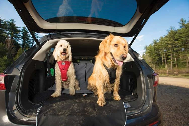 Kurgo Hondendeken Voor De Kofferbak Charcoal 3 Kurgo Hondendeken Voor De Kofferbak Charcoal