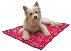 Aqua Coolkeeper Koelmat Pacific Red Western -Hunter Winkel image 8