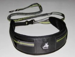 EQDOG Jogging Heupband