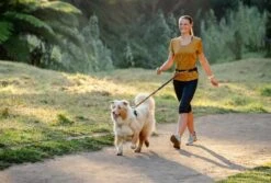 Rogz Hondenriem Handsfree Airtech Sport Oker -Hunter Winkel image 820