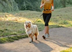 Rogz Hondenriem Handsfree Airtech Sport Oker -Hunter Winkel image 821