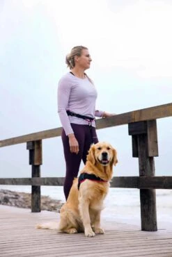 Rogz Hondenriem Handsfree Airtech Sport Roze 11 Rogz Hondenriem Handsfree Airtech Sport Roze -Hunter Winkel image 838