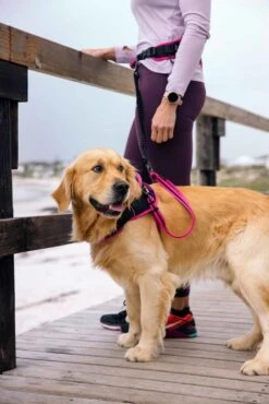 Rogz Hondenriem Handsfree Airtech Sport Roze 12 Rogz Hondenriem Handsfree Airtech Sport Roze -Hunter Winkel image 839