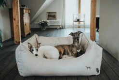 Hunter Hondenmand Livingstone Beige