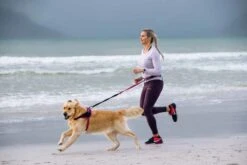 Rogz Hondenriem Handsfree Airtech Sport Roze 13 Rogz Hondenriem Handsfree Airtech Sport Roze -Hunter Winkel image 840