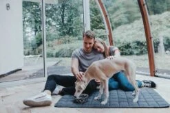 Hunter Hondendeken Hamilton 9 Hunter Hondendeken Hamilton -Hunter Winkel image 924