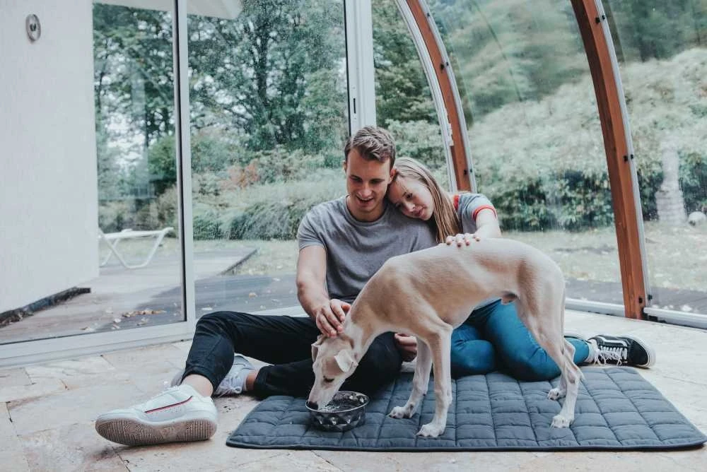 Hunter Hondendeken Hamilton 6 Hunter Hondendeken Hamilton - Afbeelding 4