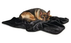 Hunter Hondendeken Konstanz Zwart -Hunter Winkel image 945