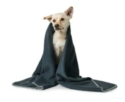 Hunter Hondendeken Casper Antraciet -Hunter Winkel image 989