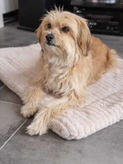 TrendPet Hondendeken Harmony Beige -Hunter Winkel image 995