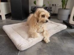 TrendPet Hondendeken Harmony Beige -Hunter Winkel image 996