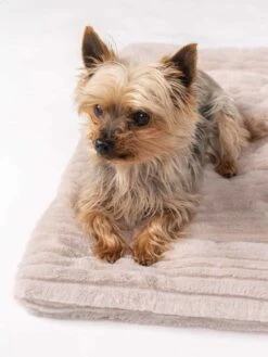 TrendPet Hondendeken Harmony Beige -Hunter Winkel image 997