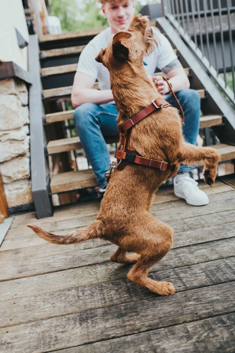 Hunter Winkel -Hunter Winkel image 6 768x1152 1